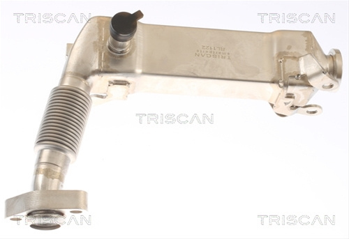 Radiator Recirculare Gaze De Esapament Triscan Bmw 8813 11019