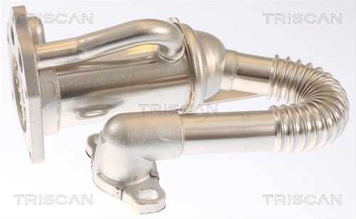 Radiator Recirculare Gaze De Esapament Triscan Dacia 8813 25105