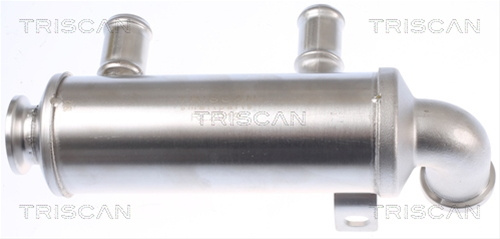 Radiator Recirculare Gaze De Esapament Triscan Ford 8813 10110