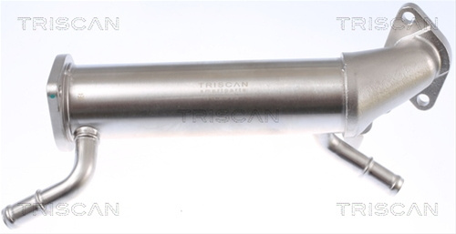 Radiator Recirculare Gaze De Esapament Triscan Ford 8813 10112