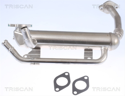 Radiator Recirculare Gaze De Esapament Triscan Seat 8813 29335