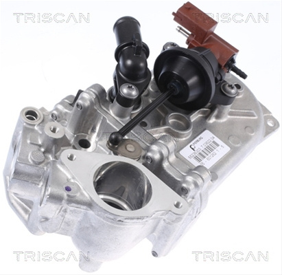 Radiator Recirculare Gaze De Esapament Triscan Opel 8813 24104