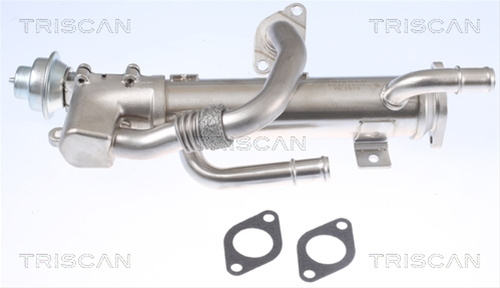 Radiator Recirculare Gaze De Esapament Triscan Audi 8813 29333