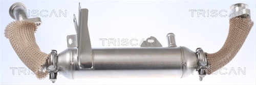 Radiator Recirculare Gaze De Esapament Triscan Fiat 8813 15071