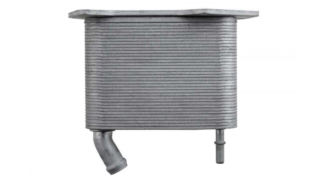 Radiator ulei Land Rover RANGE ROVER Mk III (LM) 2002-2012 #1 6H4Q6C711CF