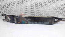 Radiator ulei servodirectie Mercedes Clasa ML (W16...