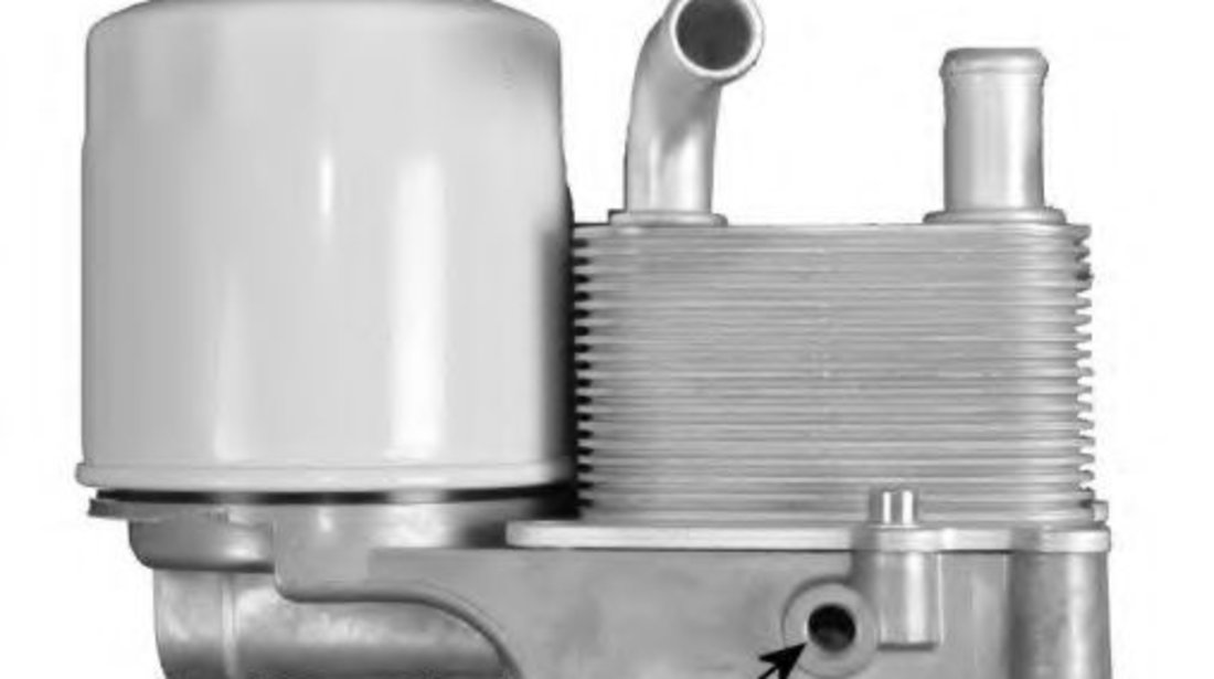 Radiator ulei, ulei motor FORD TRANSIT CONNECT (P65, P70, P80) (2002 - 2016) NRF 31193 piesa NOUA