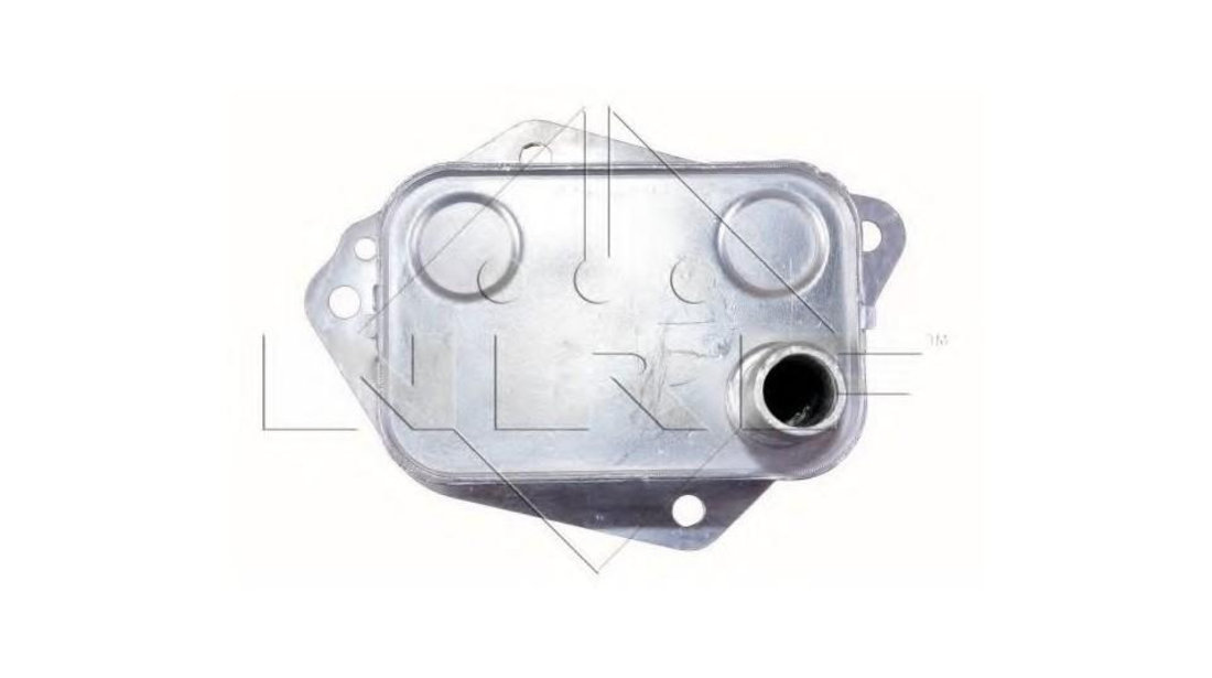 Radiator ulei, ulei motor Hyundai ACCENT III limuzina (MC) 2005-2010 #2 264102A300