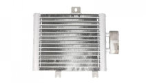 Radiator ulei, ulei motor Mercedes SL (R230) 2001-...