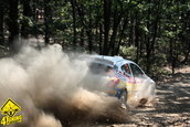 Raliul Aradului 2009