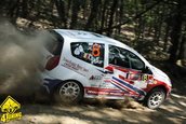 Raliul Aradului 2009