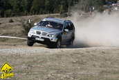Raliul Aradului 2009