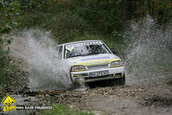 Raliul Argesului 2009