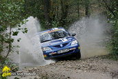 Raliul Argesului 2009