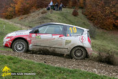 Raliul Argesului 2009