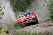 Raliul Argesului 2009