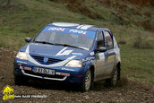 Raliul Argesului 2009