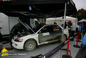Raliul Argesului 2009