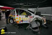 Raliul Argesului 2009