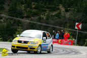 Raliul Argesului 2010