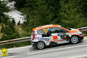 Raliul Argesului 2010
