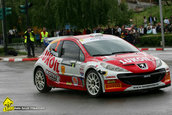 Raliul Argesului 2010