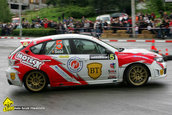 Raliul Argesului 2010