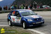 Raliul Argesului 2010