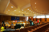 Raliul Argesului 2010
