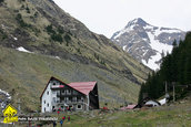 Raliul Argesului 2010
