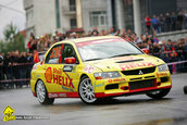 Raliul Argesului 2010