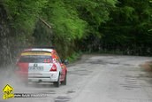 Raliul Argesului 2010