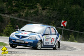Raliul Argesului 2010