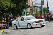 Raliul Argesului 2010