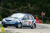 Raliul Argesului 2010