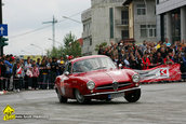 Raliul Argesului 2010