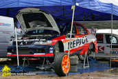 Raliul Argesului 2010