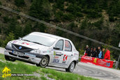 Raliul Argesului 2010