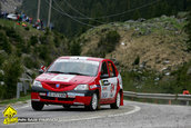 Raliul Argesului 2010