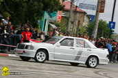 Raliul Argesului 2010