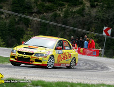 Raliul Argesului 2010