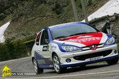 Raliul Argesului 2010