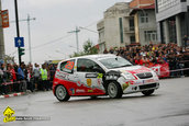 Raliul Argesului 2010