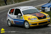 Raliul Argesului 2010