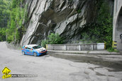 Raliul Argesului 2010