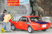 Raliul Argesului 2010
