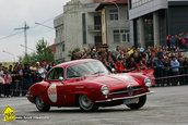 Raliul Argesului 2010