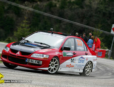 Raliul Argesului 2010