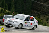 Raliul Argesului 2010