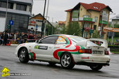 Raliul Argesului 2010
